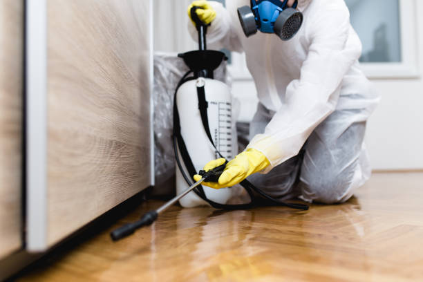 Best Pest Prevention Services  in Freeman, SD