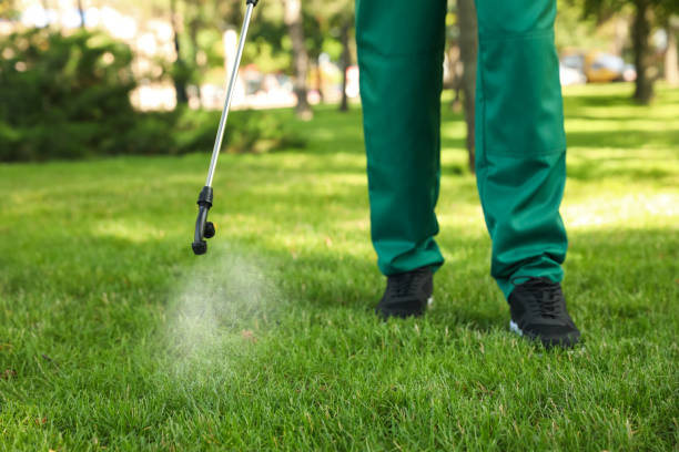 Best Pest Inspection Near Me  in Freeman, SD