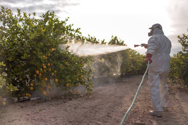 Pest Prevention Services in Freeman, SD