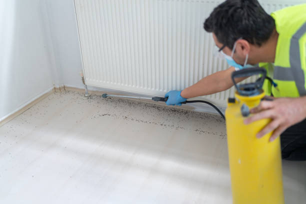 Best Residential Pest Control  in Freeman, SD