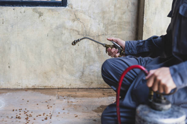 Best Exterminator Services  in Freeman, SD