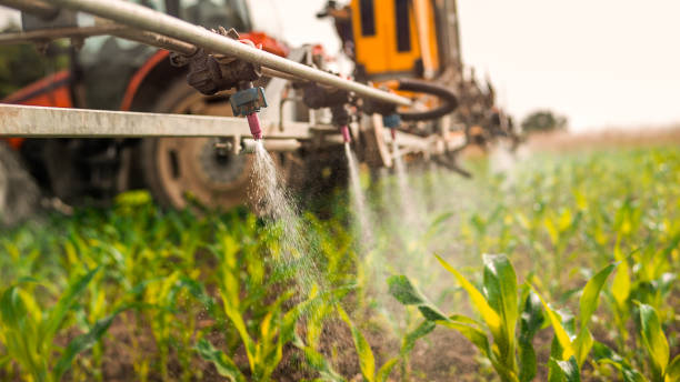 Best Mosquito Control Services  in Freeman, SD